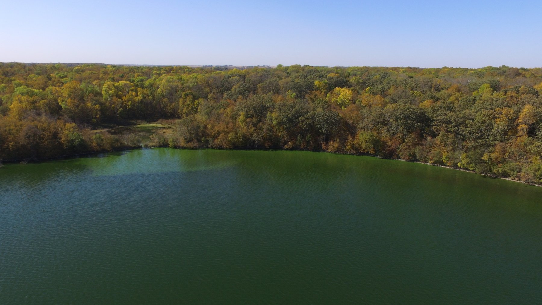 Image for Pope County - Goose Lake - Hunting/Lakeshore Land Auction