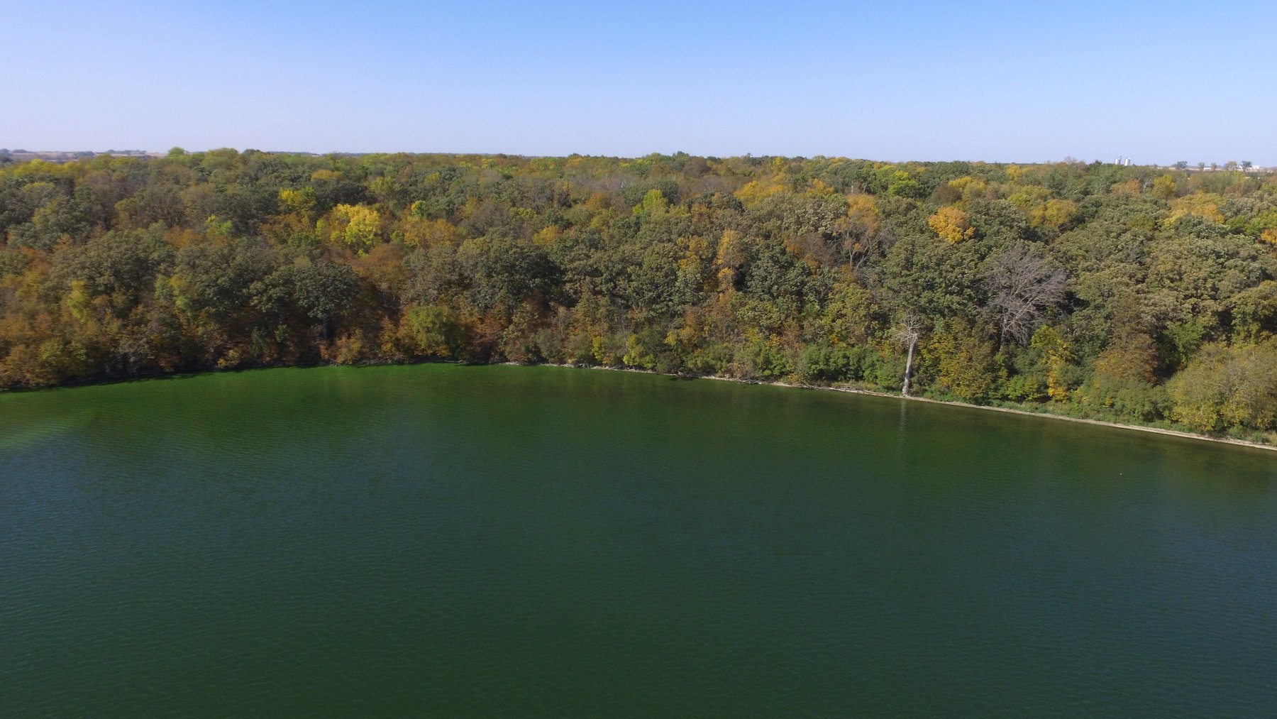 Image for Pope County - Goose Lake - Hunting/Lakeshore Land Auction