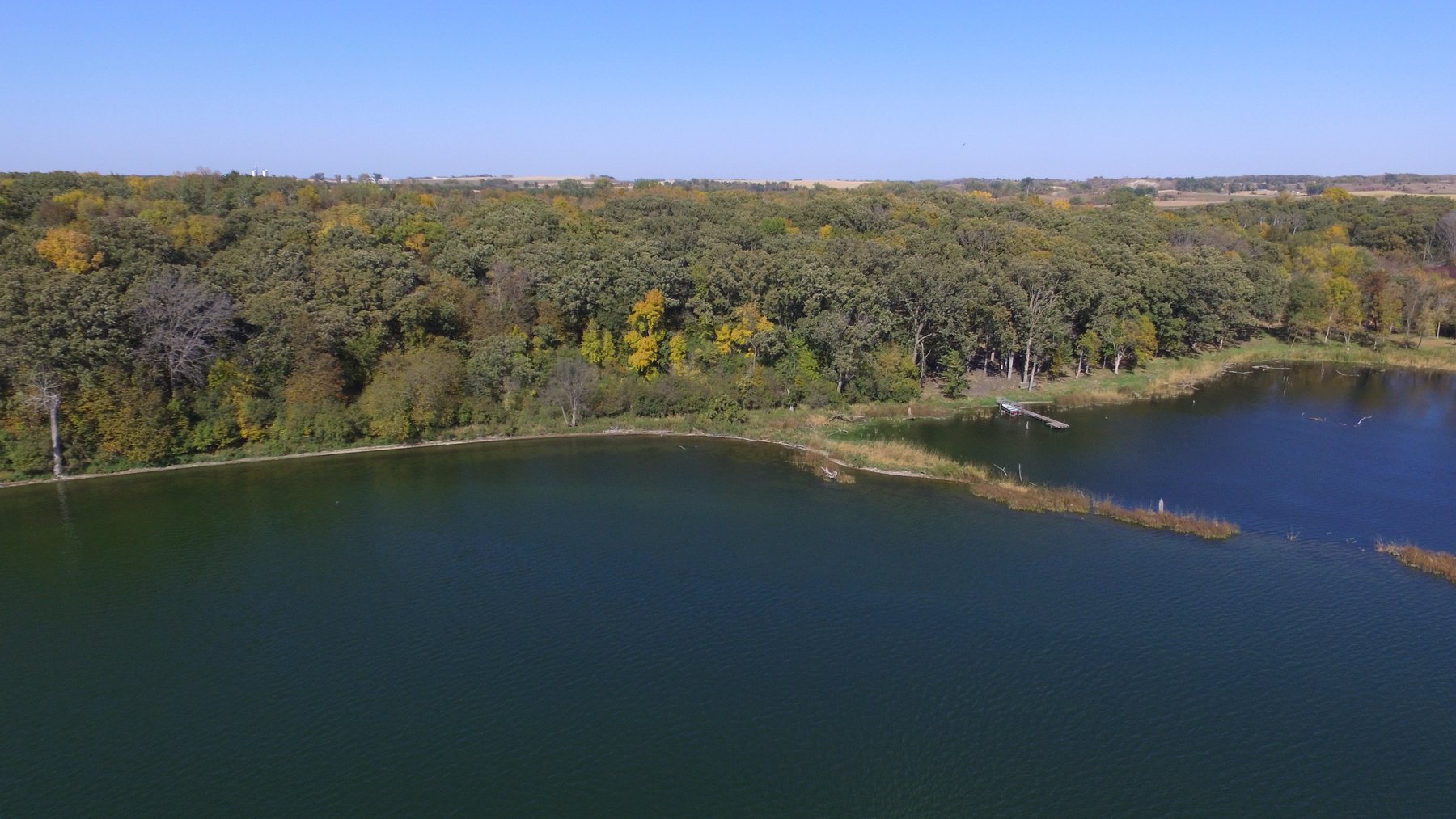 Image for Pope County - Goose Lake - Hunting/Lakeshore Land Auction