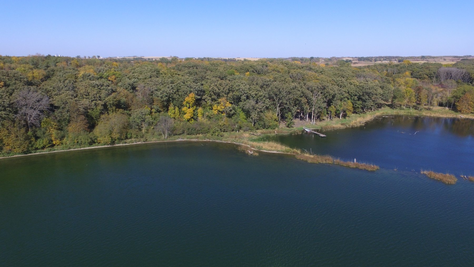 Image for Pope County - Goose Lake - Hunting/Lakeshore Land Auction
