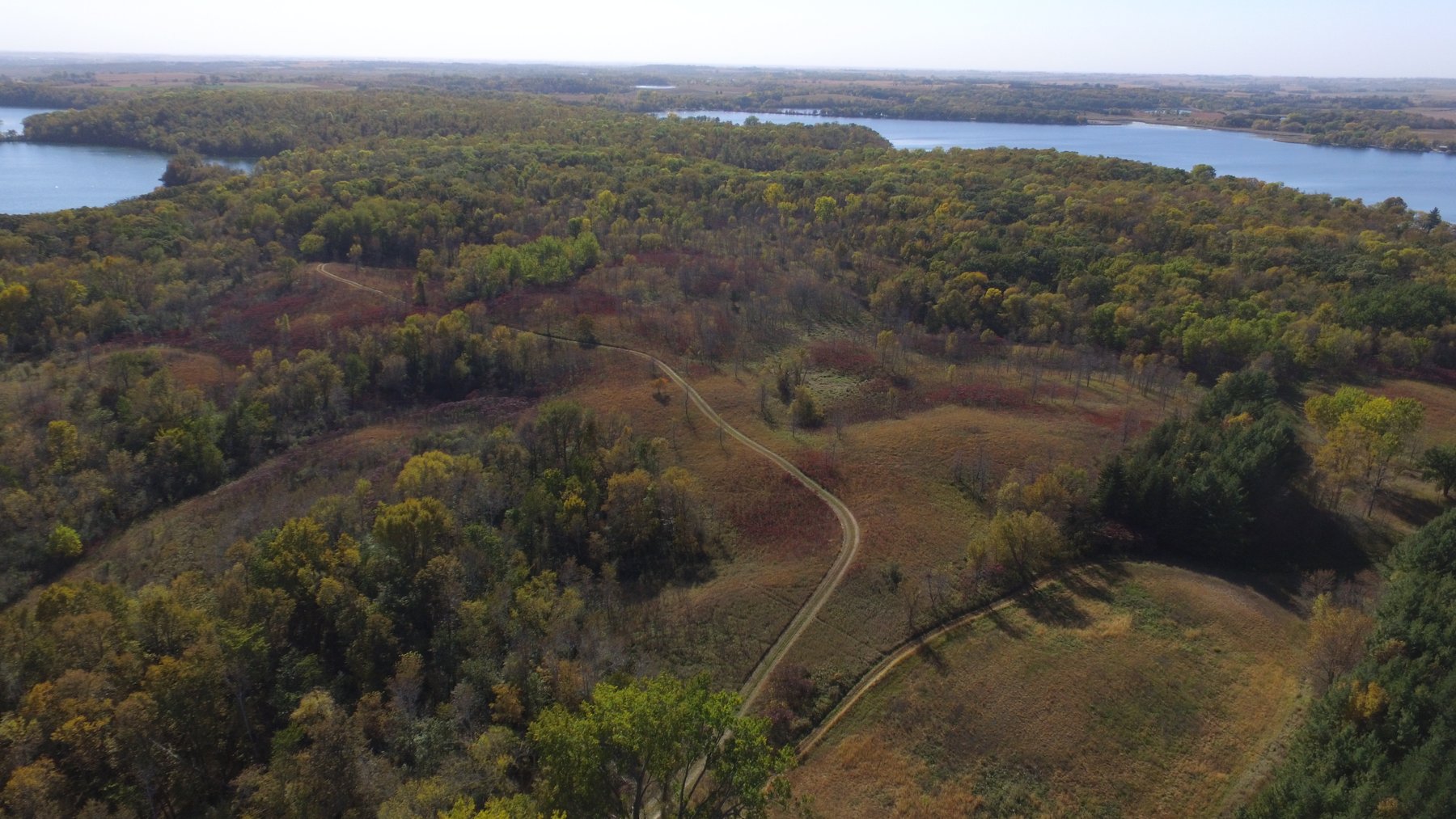 Image for Pope County - Goose Lake - Hunting/Lakeshore Land Auction