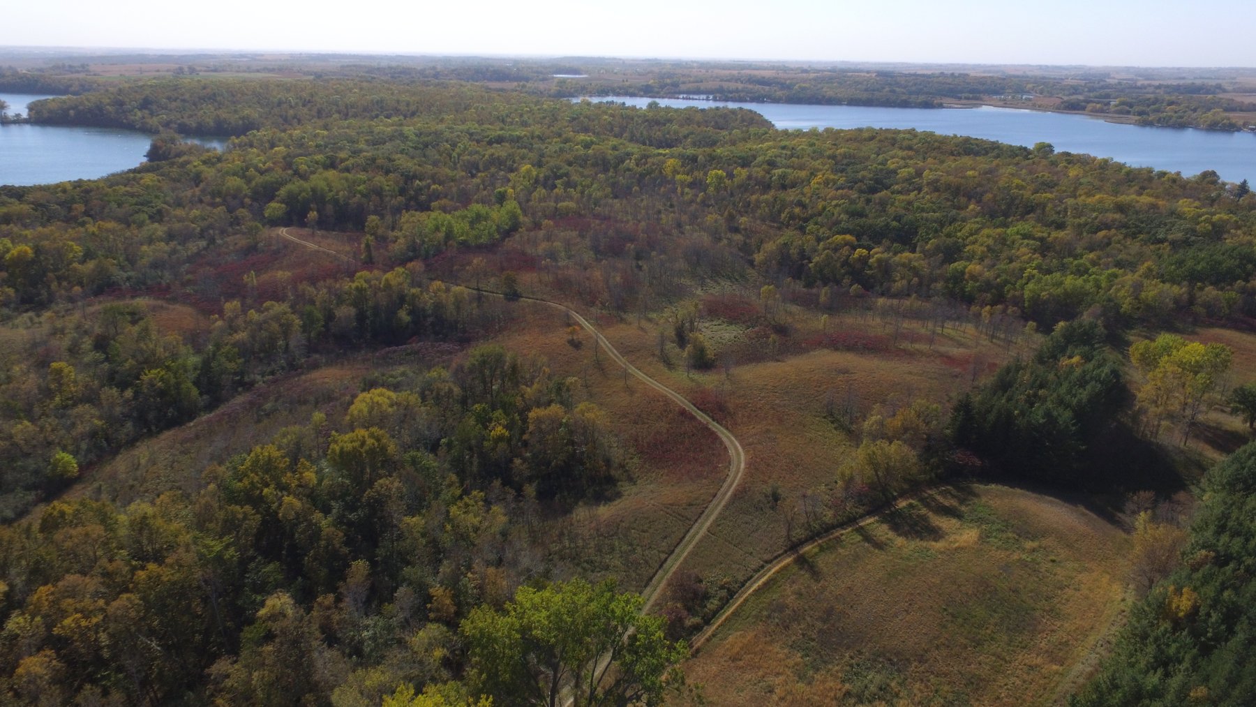 Image for Pope County - Goose Lake - Hunting/Lakeshore Land Auction