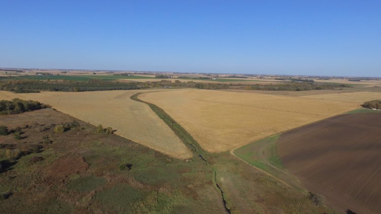 Image for Stearns County - Fuchs Family - Farm Land Auction