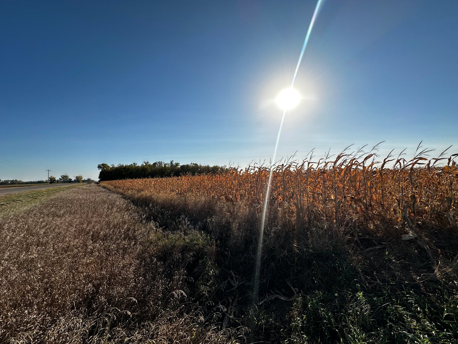 Image for Stearns County - Fuchs Family - Farm Land Auction