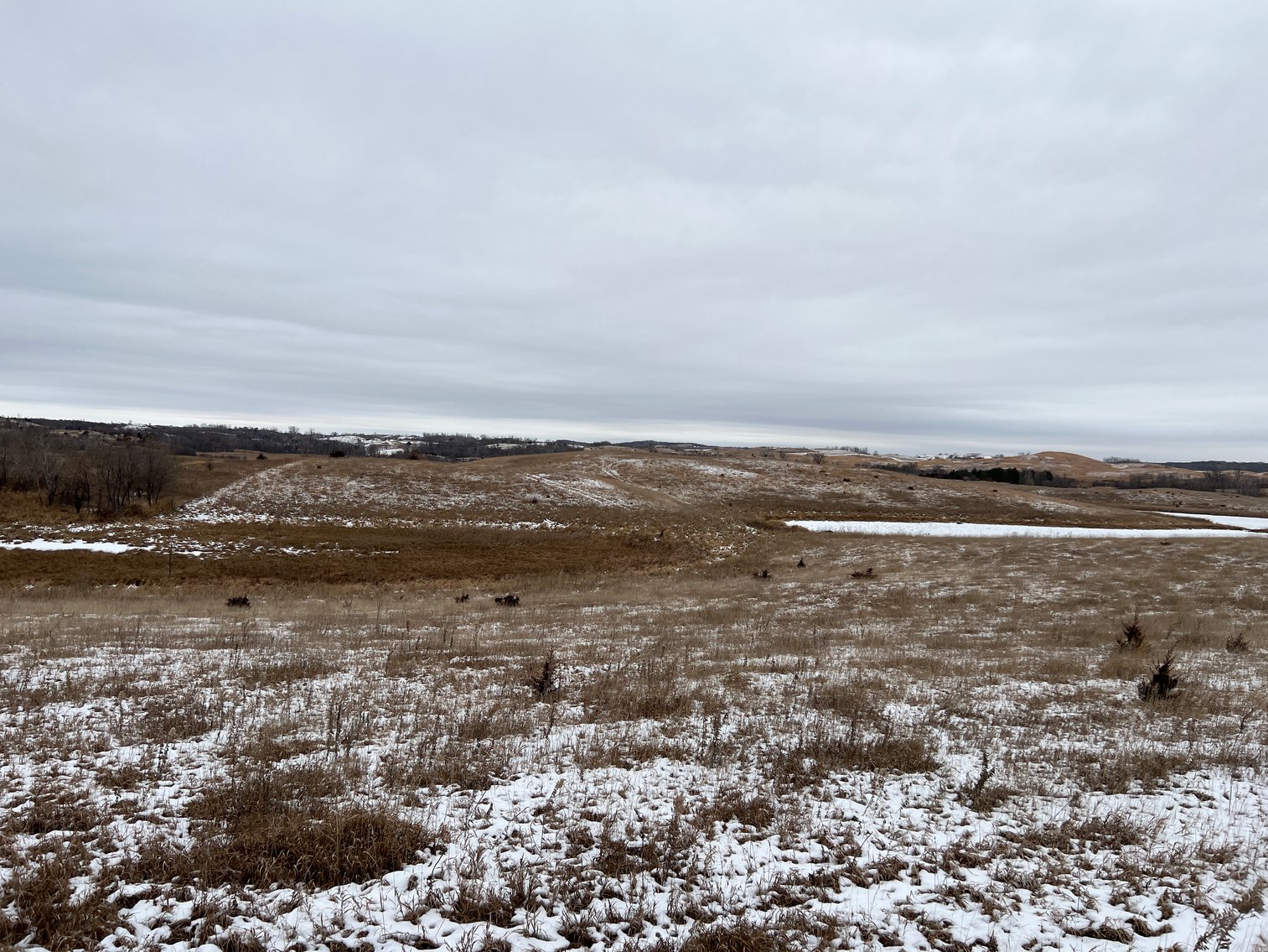 Image for Pope County - Patrick & Jenessa Huston - Pasture/Hunting Land Auction