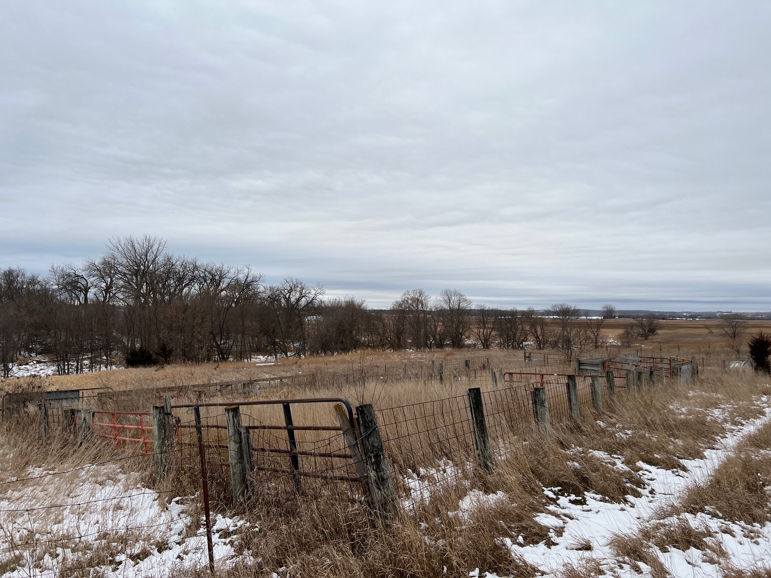 Image for Pope County - Patrick & Jenessa Huston - Pasture/Hunting Land Auction