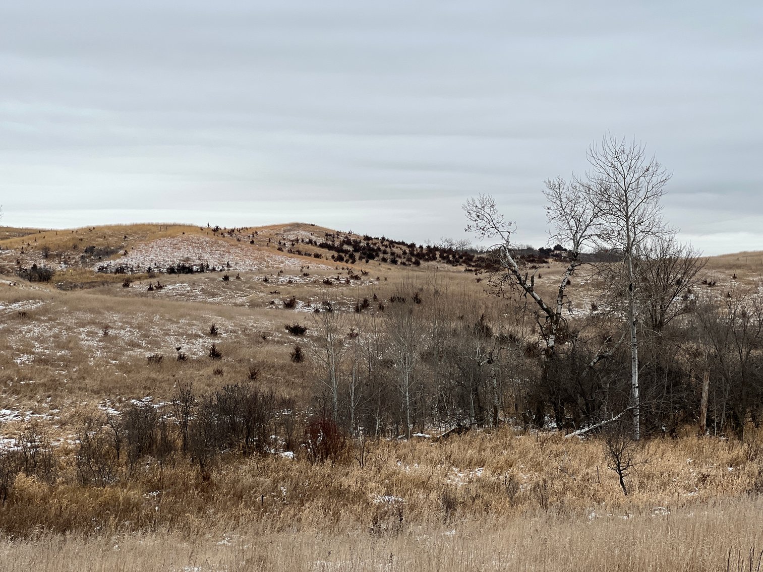 Image for Pope County - Patrick & Jenessa Huston - Pasture/Hunting Land Auction