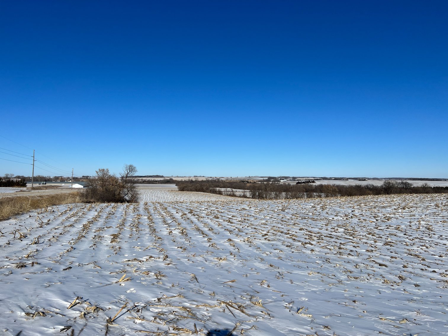 Image for Pope County - Brian & Laura Jergenson Land Auction