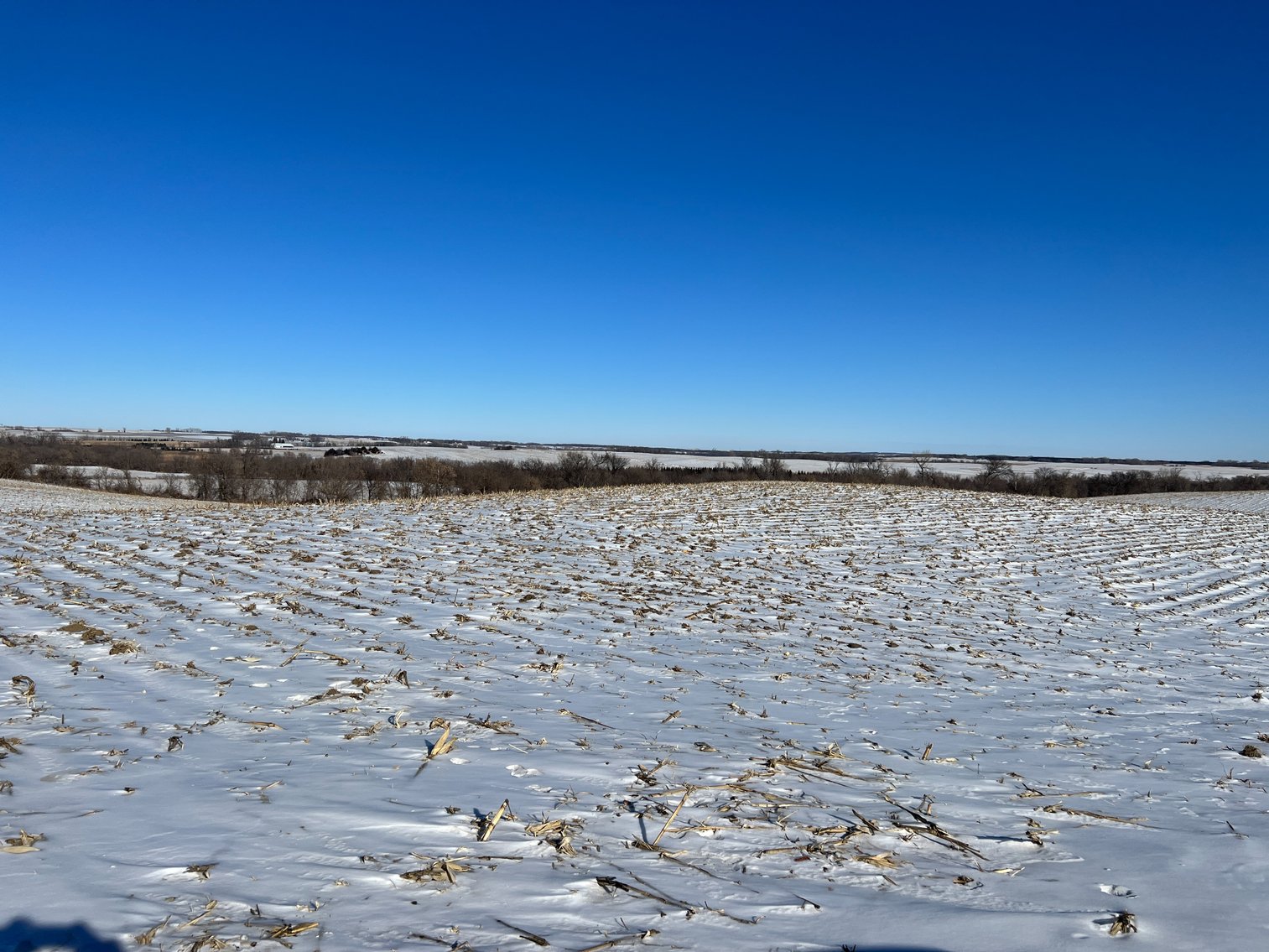 Image for Pope County - Brian & Laura Jergenson Land Auction