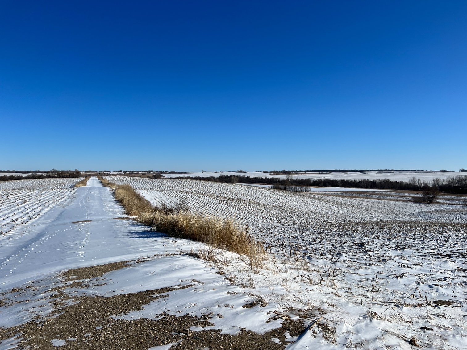 Image for Pope County - Brian & Laura Jergenson Land Auction