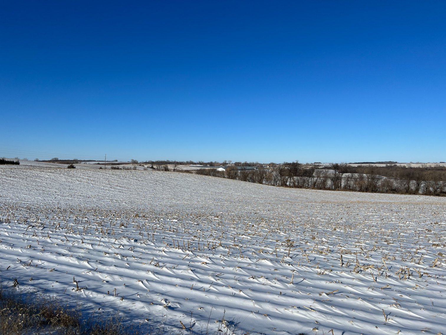 Image for Pope County - Brian & Laura Jergenson Land Auction
