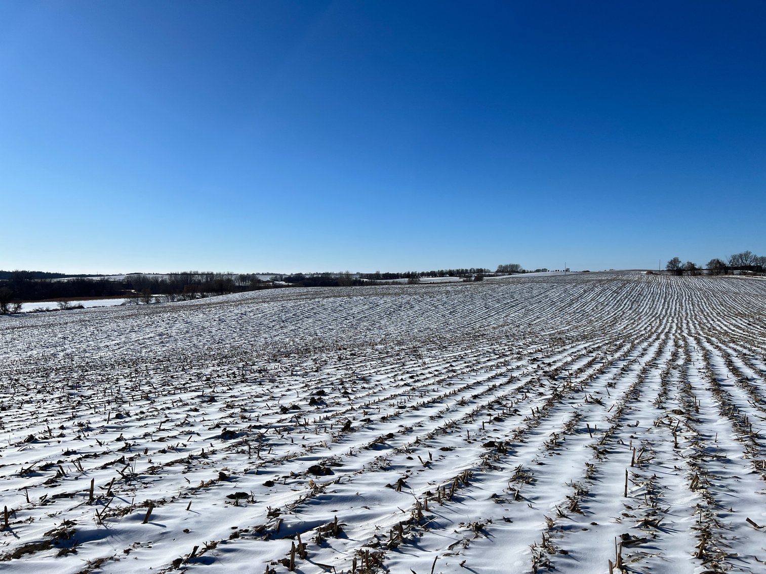 Image for Pope County - Brian & Laura Jergenson Land Auction