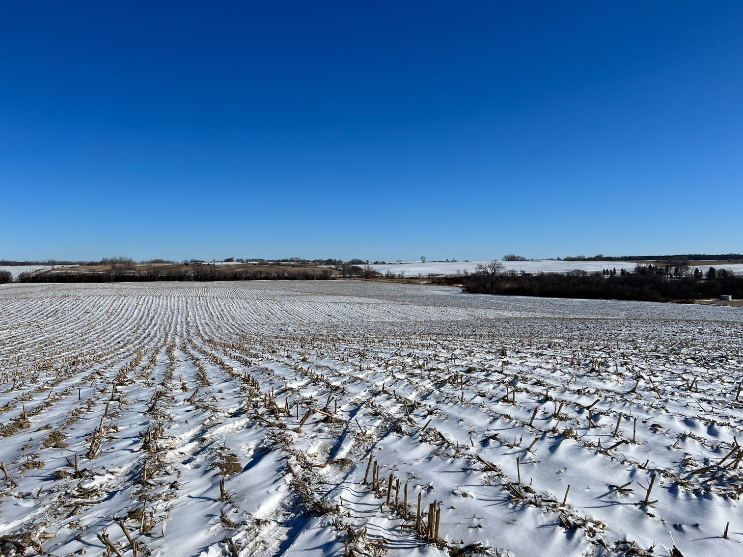 Image for Pope County - Brian & Laura Jergenson Land Auction
