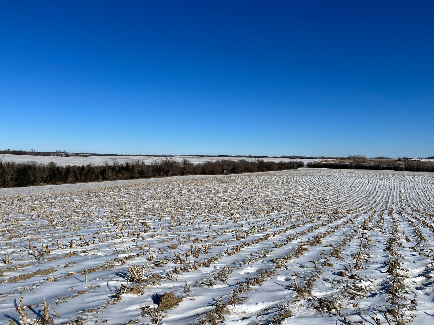 Image for Pope County - Brian & Laura Jergenson Land Auction