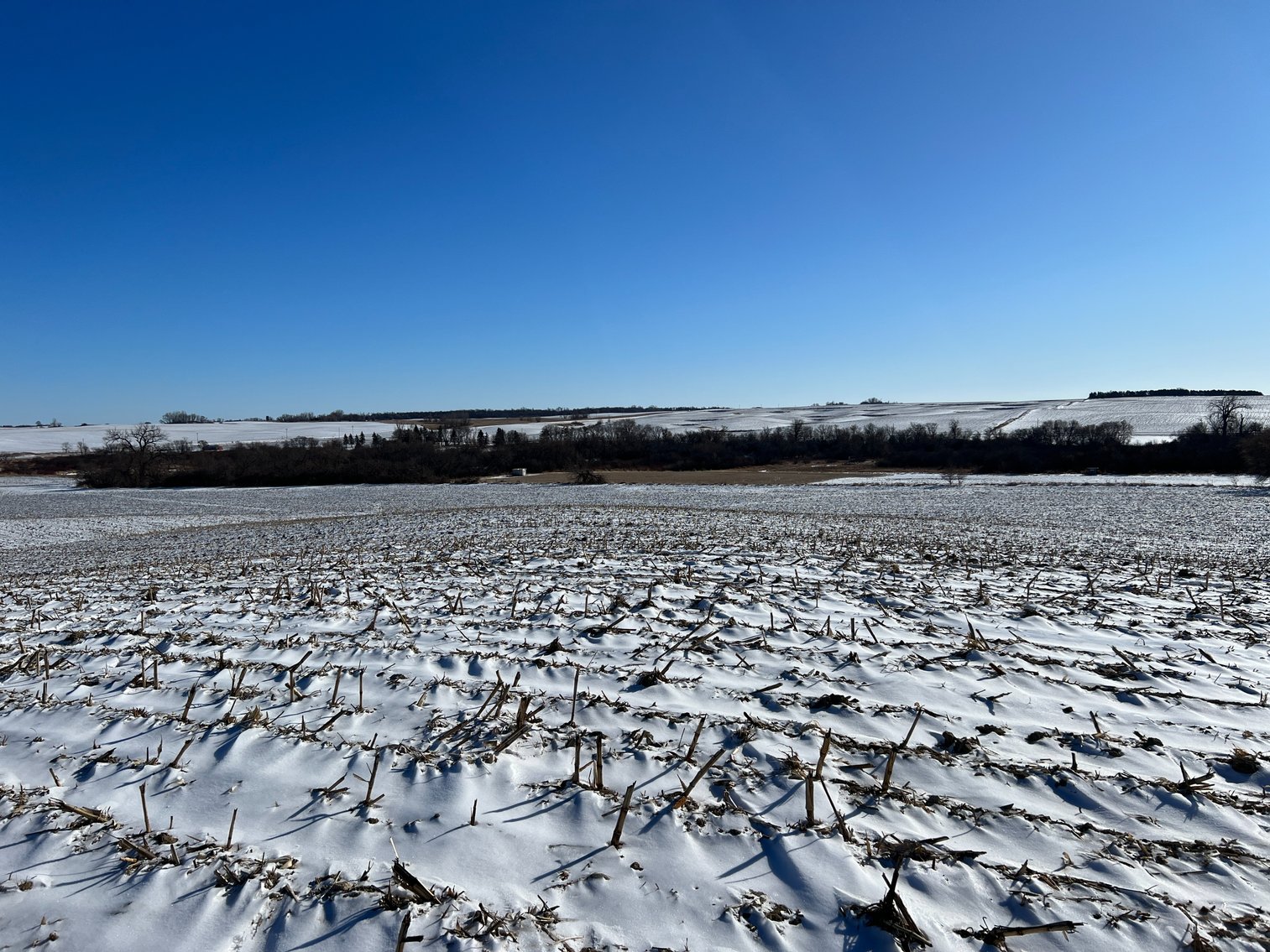 Image for Pope County - Brian & Laura Jergenson Land Auction