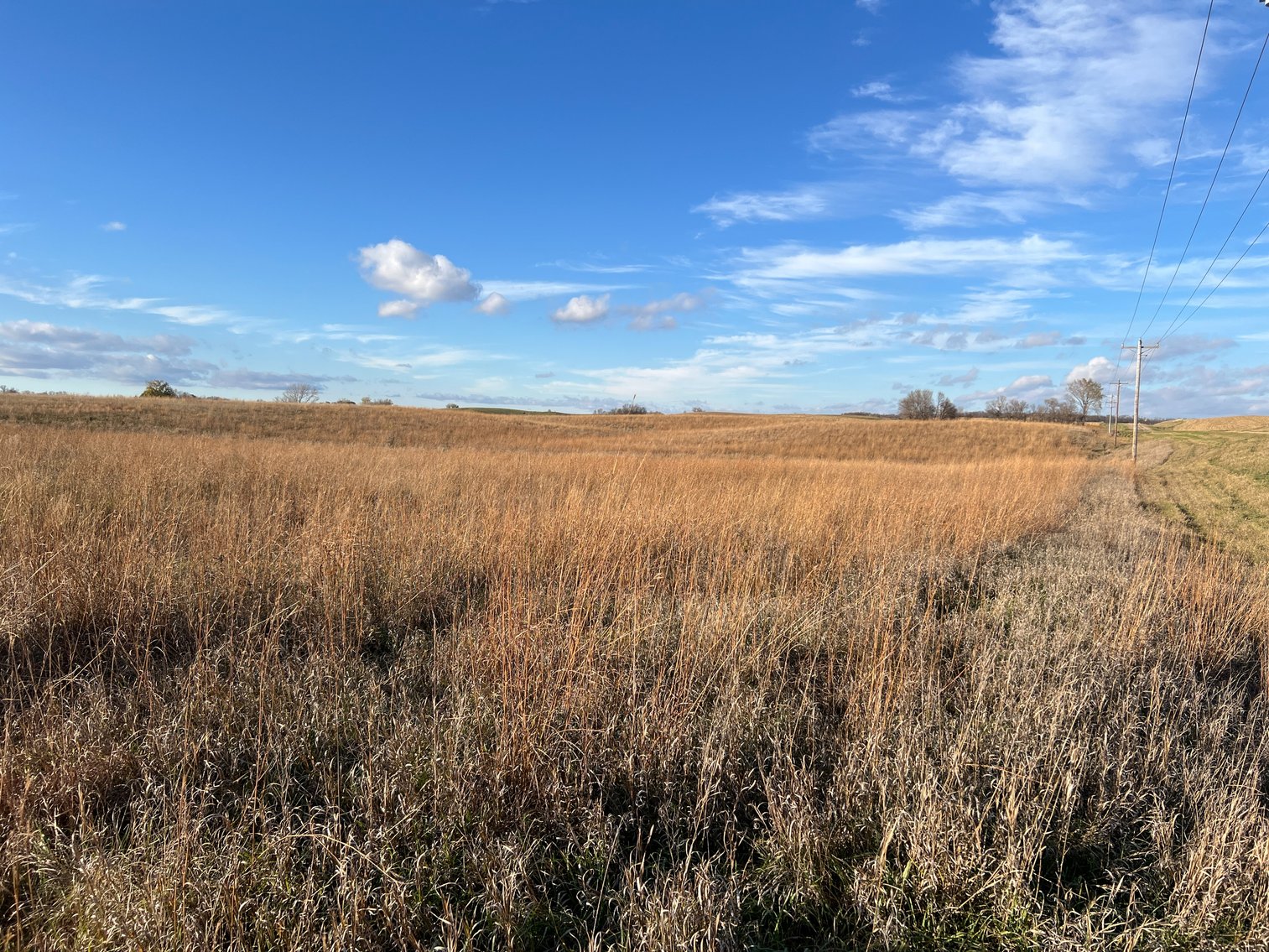 Image for Online Only Swift County Land Auction