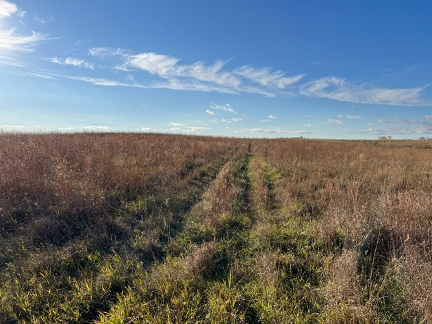 Image for Online Only Swift County Land Auction