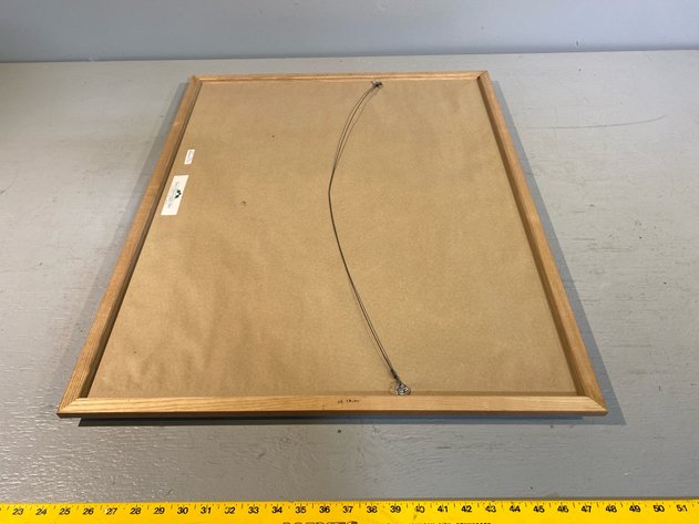 Image for WILDLIFE PICTURE