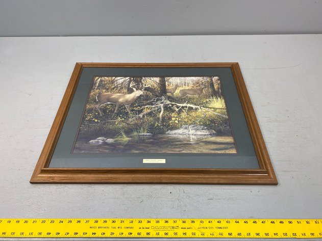 Image for WILDLIFE PICTURE