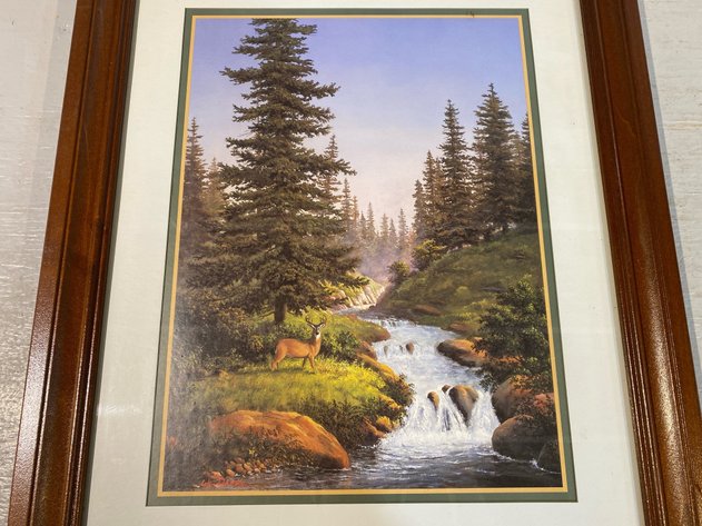 Image for WHITETAIL PRINT