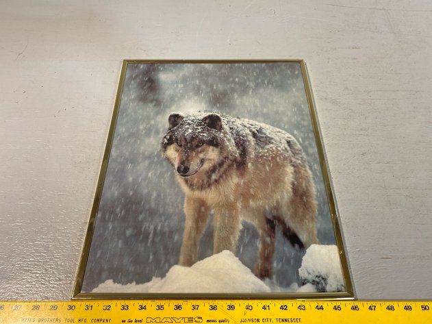 Image for WOLF PRINT