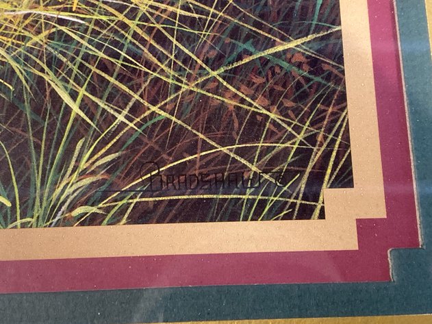 Image for RING NECK PRINT