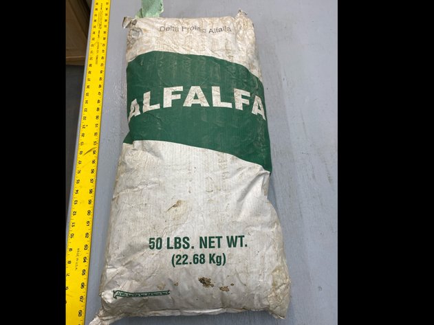 Image for ALFALFA SEED