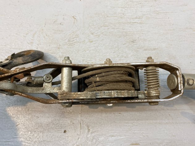 Image for COME ALONG