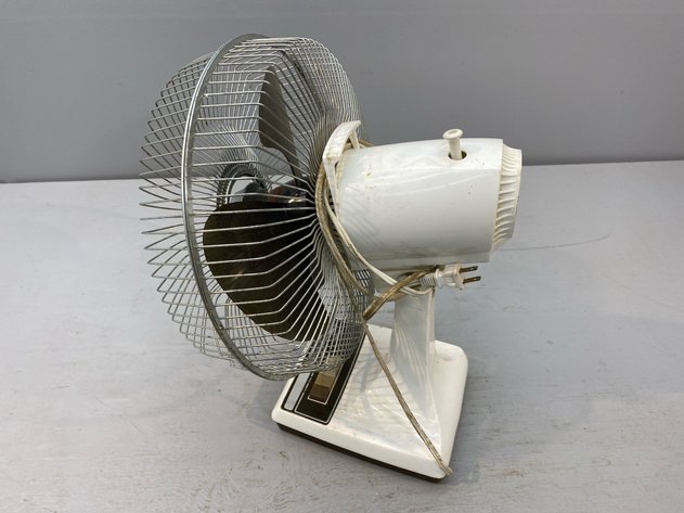 Image for FAN