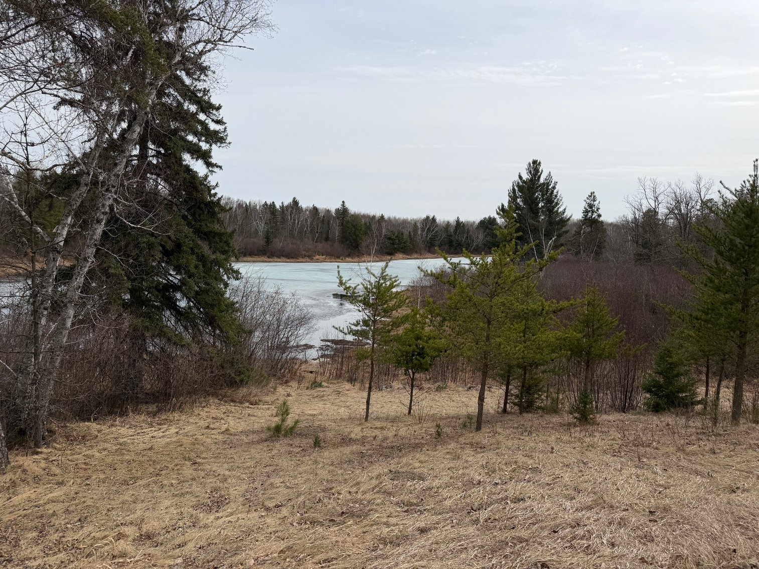 Image for Hunting/Recreation Land Hubbard County MN Online Only Auction