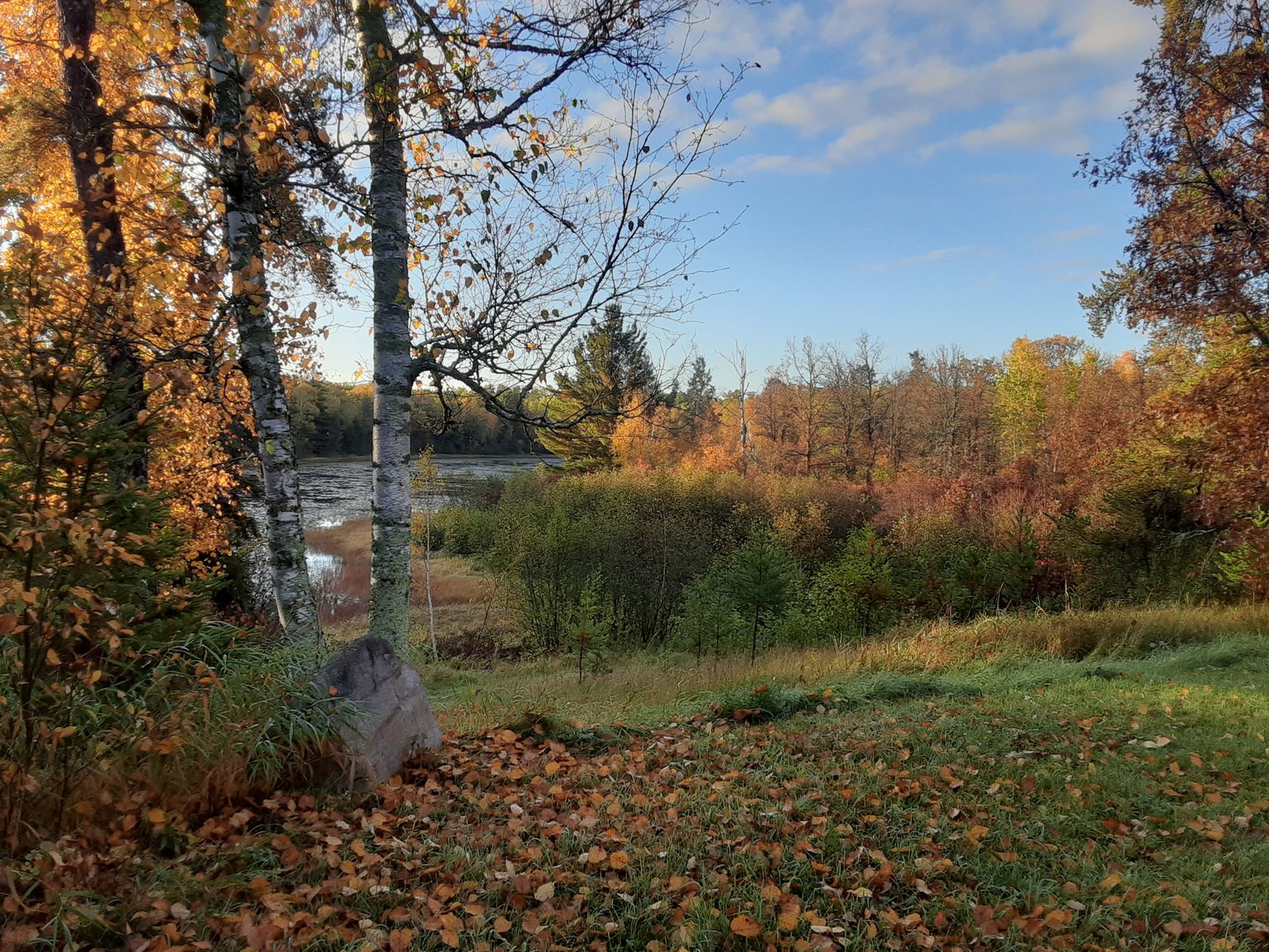 Image for Hunting/Recreation Land Hubbard County MN Online Only Auction