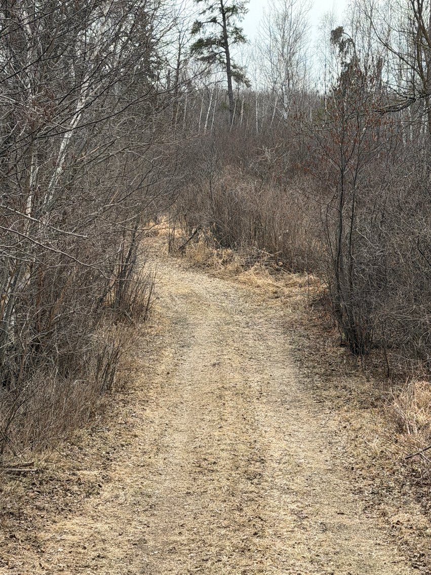 Image for Hunting/Recreation Land Hubbard County MN Online Only Auction