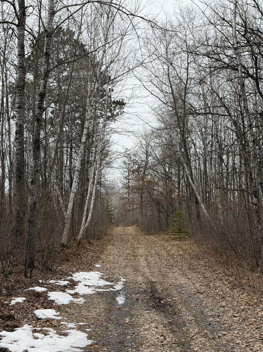 Image for Hunting/Recreation Land Hubbard County MN Online Only Auction