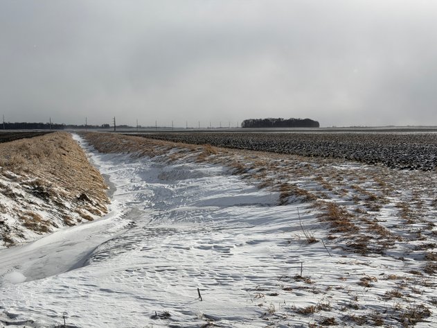 Image for Lac Qui Parle County Land & Building Site Online Only Auction