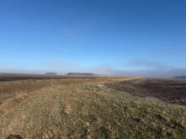 Image for Lac Qui Parle County Land & Building Site Online Only Auction