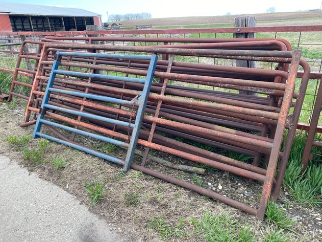 Image for LIVESTOCK GATES