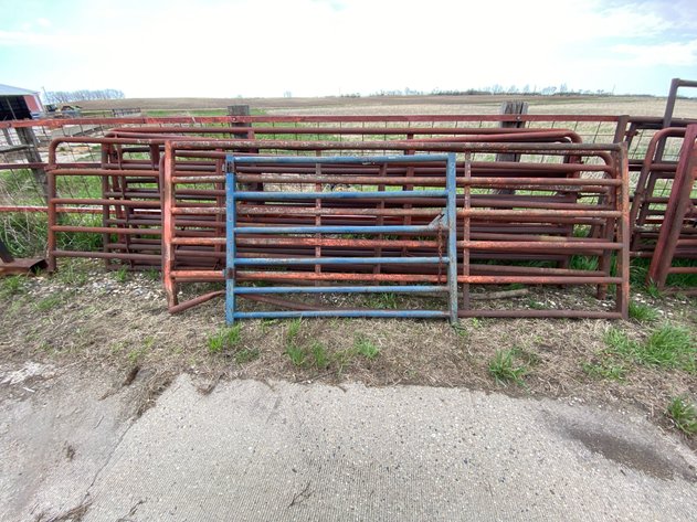 Image for LIVESTOCK GATES
