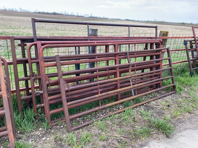 Image for LIVESTOCK GATES
