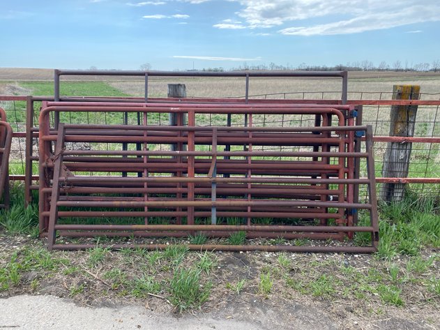 Image for LIVESTOCK GATES