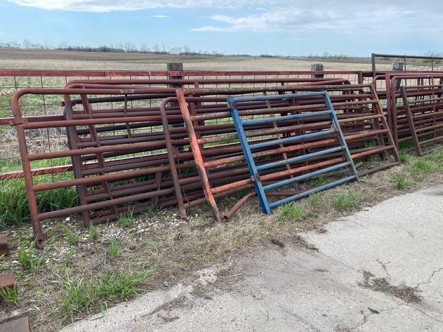 Image for LIVESTOCK GATES