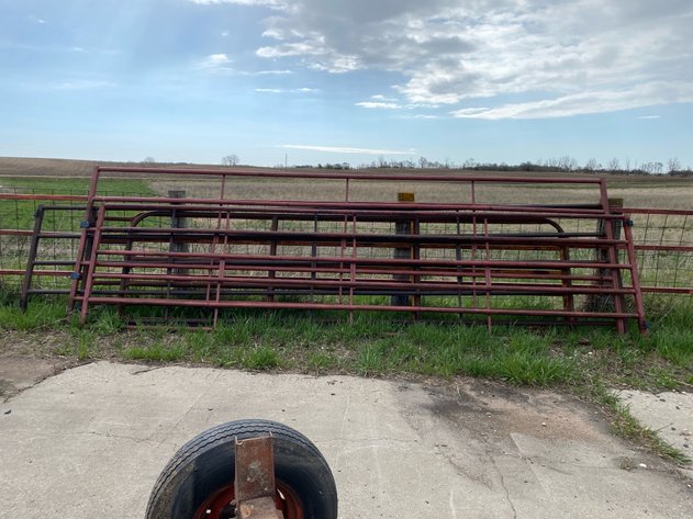Image for LIVESTOCK GATES