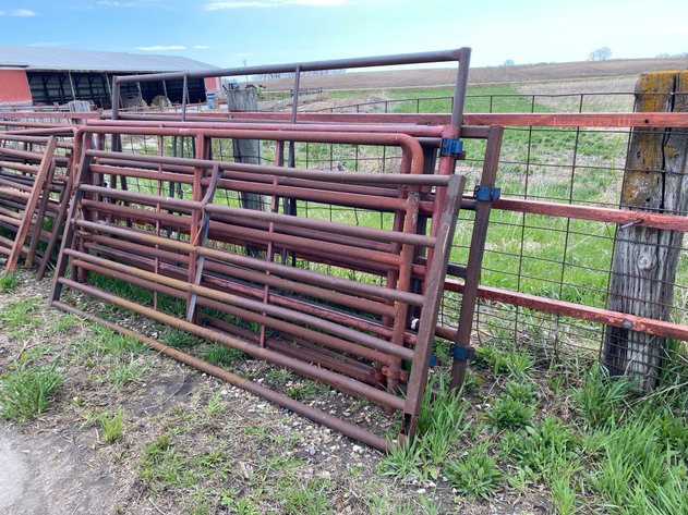 Image for LIVESTOCK GATES