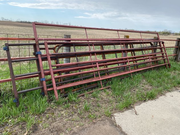 Image for LIVESTOCK GATES