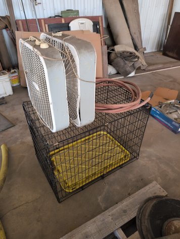 Image for FANS, DOG CRATE, AND HOSE