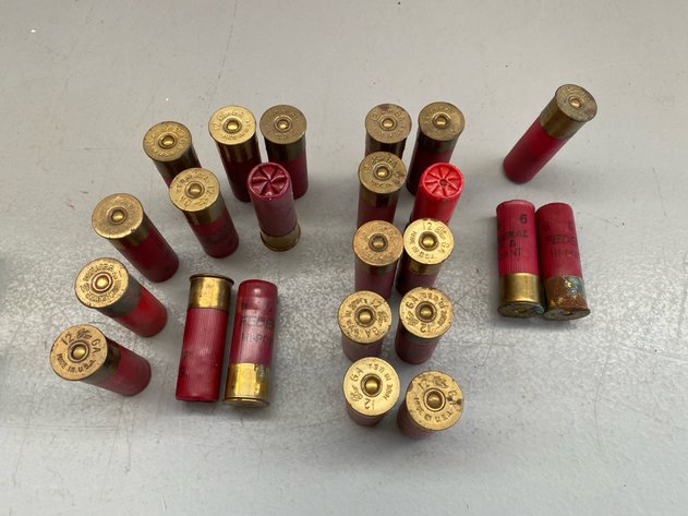 Image for .22 LR/12 GA.