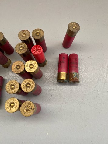 Image for .22 LR/12 GA.