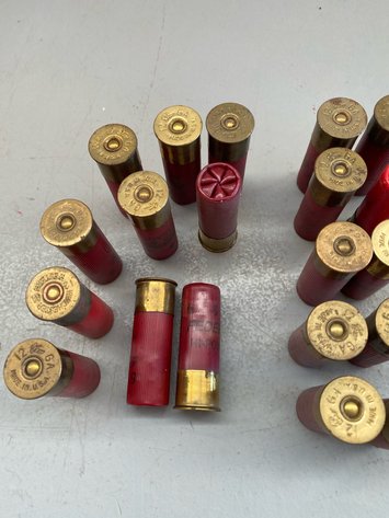 Image for .22 LR/12 GA.