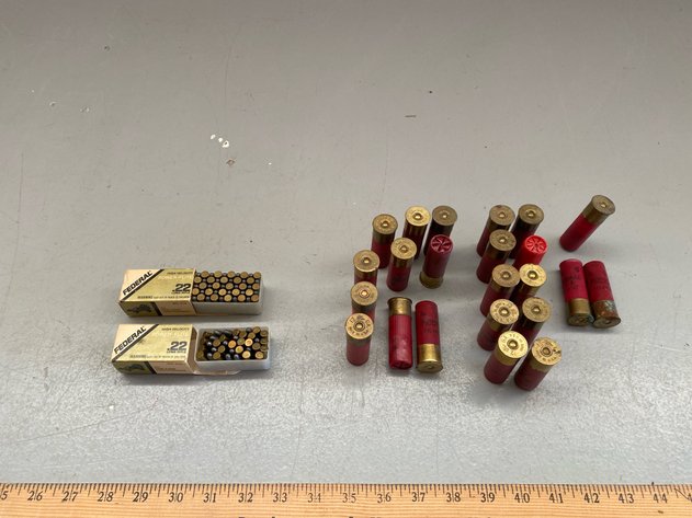 Image for .22 LR/12 GA.