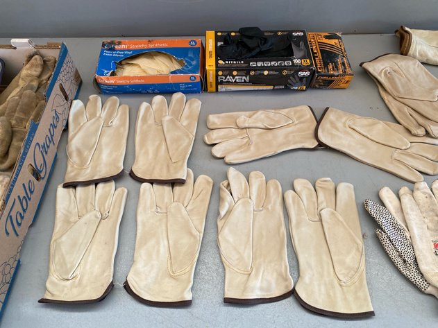 Image for GLOVES