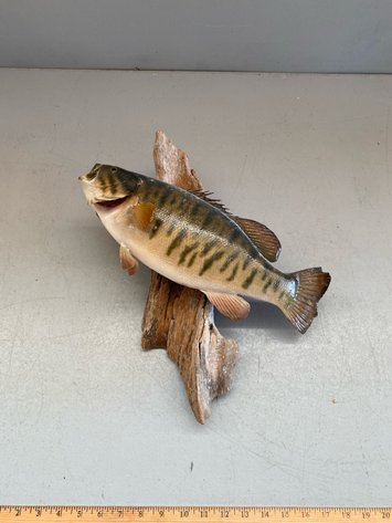 Image for MOUNT